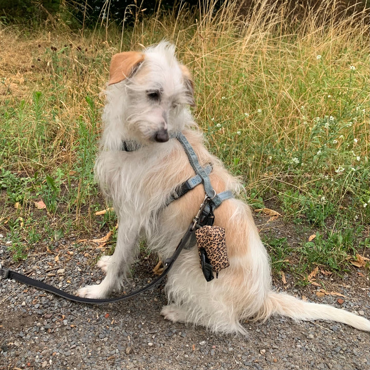 Mini-Tasche für Hundekotbeutel – Kork Leo